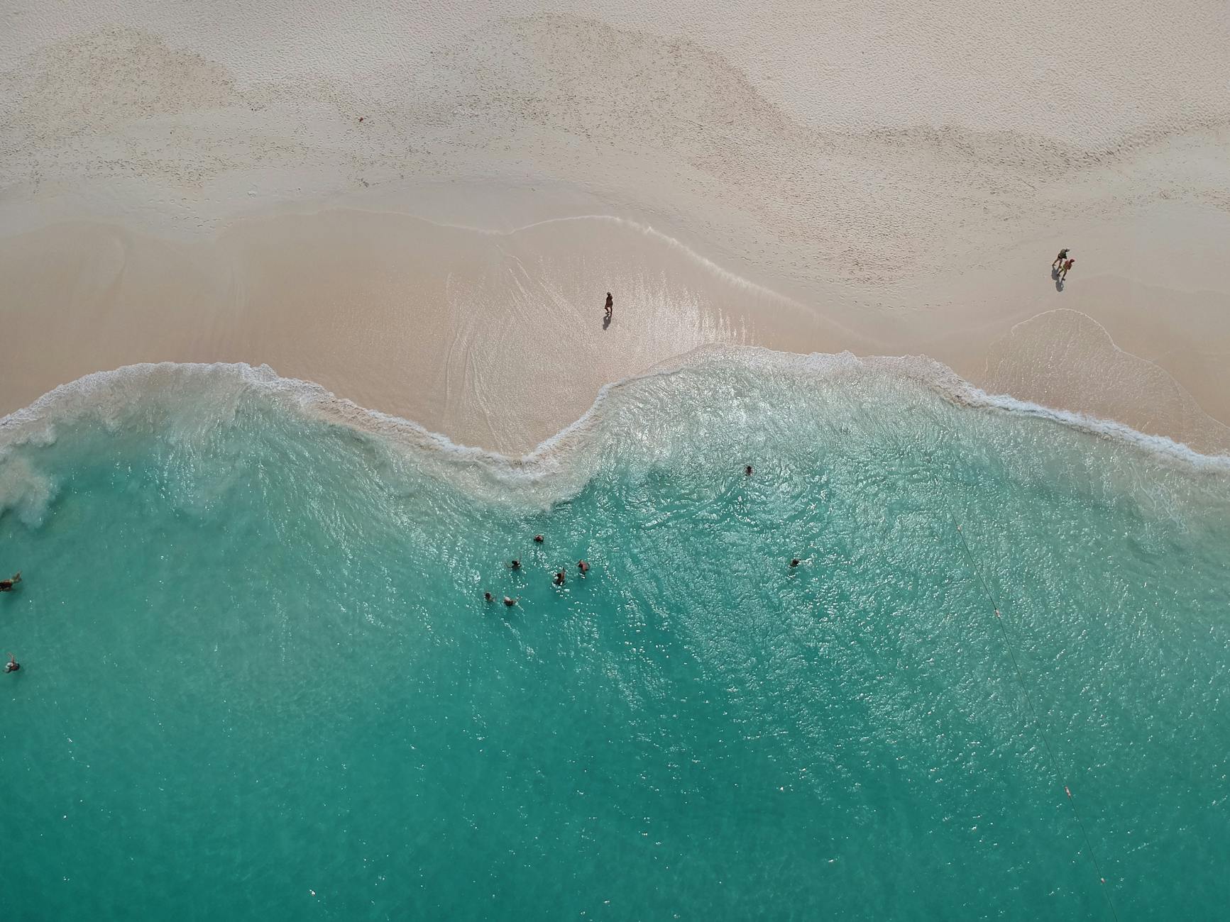 Flamingos on Aruba beach Renaissance Island Caribbean
