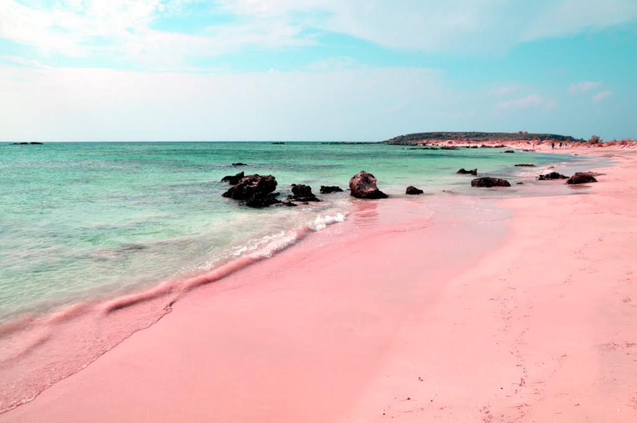 Pink Sands Beach Harbour Island Bahamas iconic pink sand shoreline