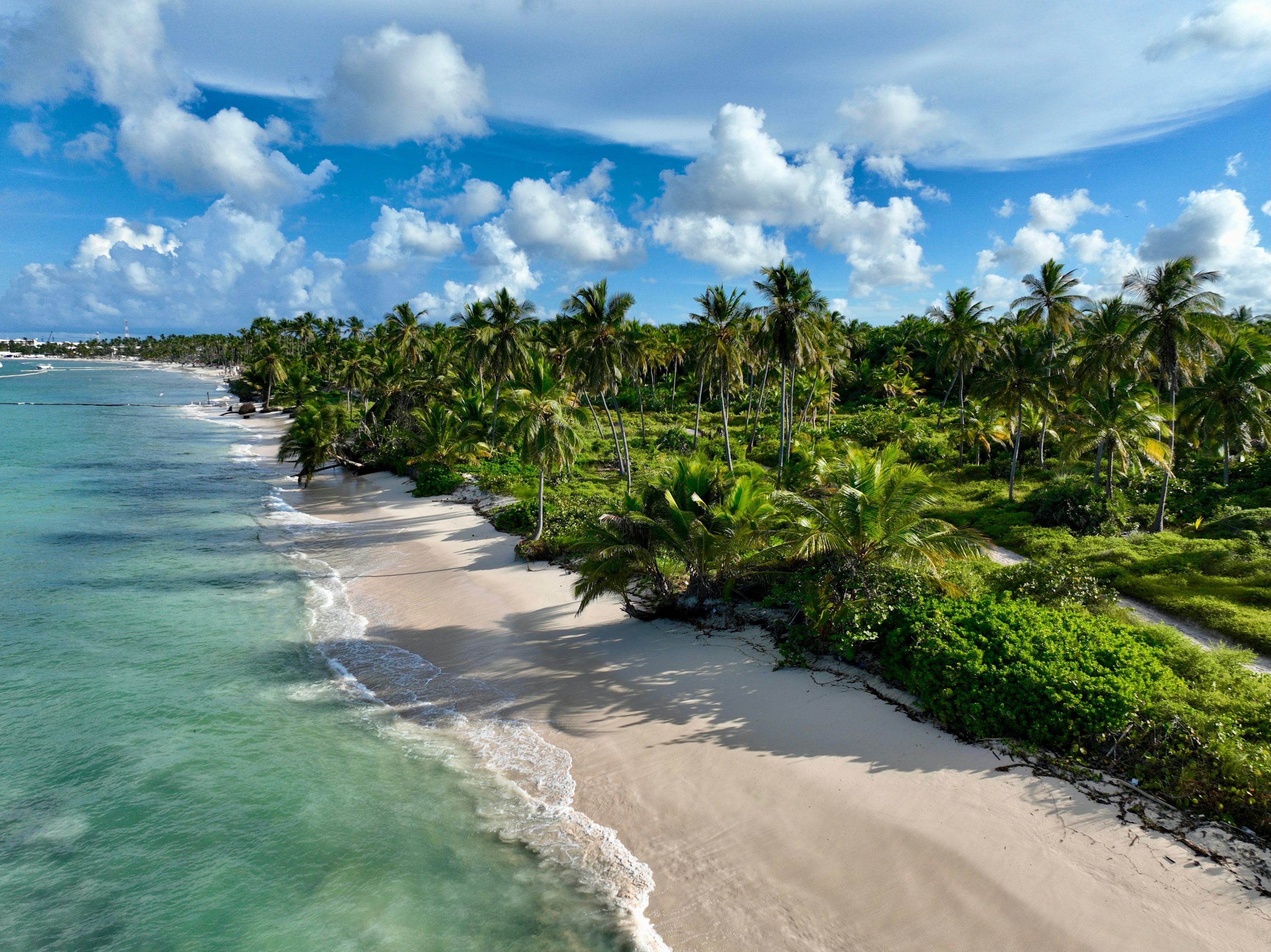 Punta Cana palm-lined white sand beach turquoise Caribbean water