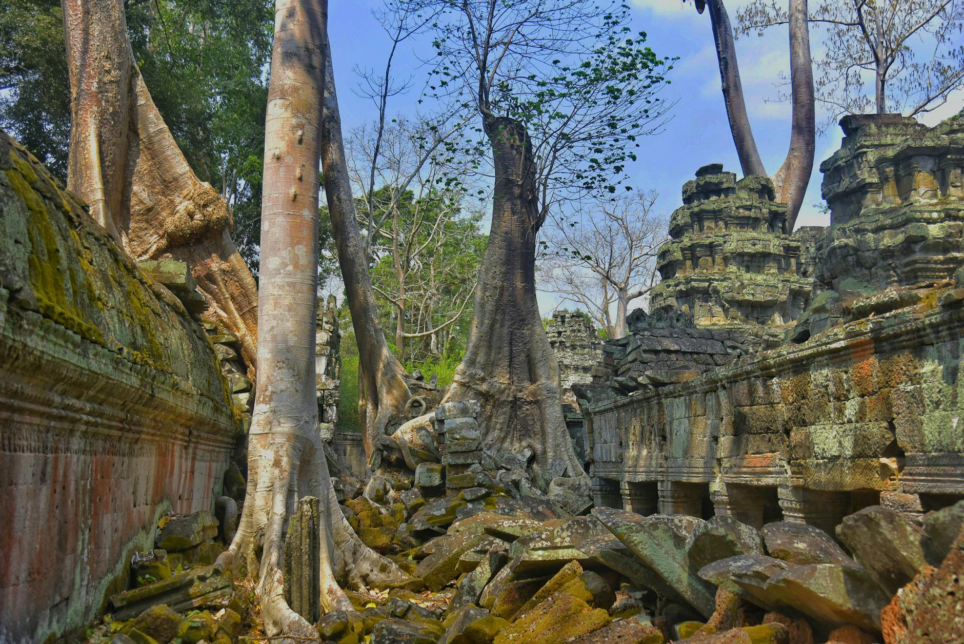 Ta Prohm temple Cambodia jungle roots and ruins