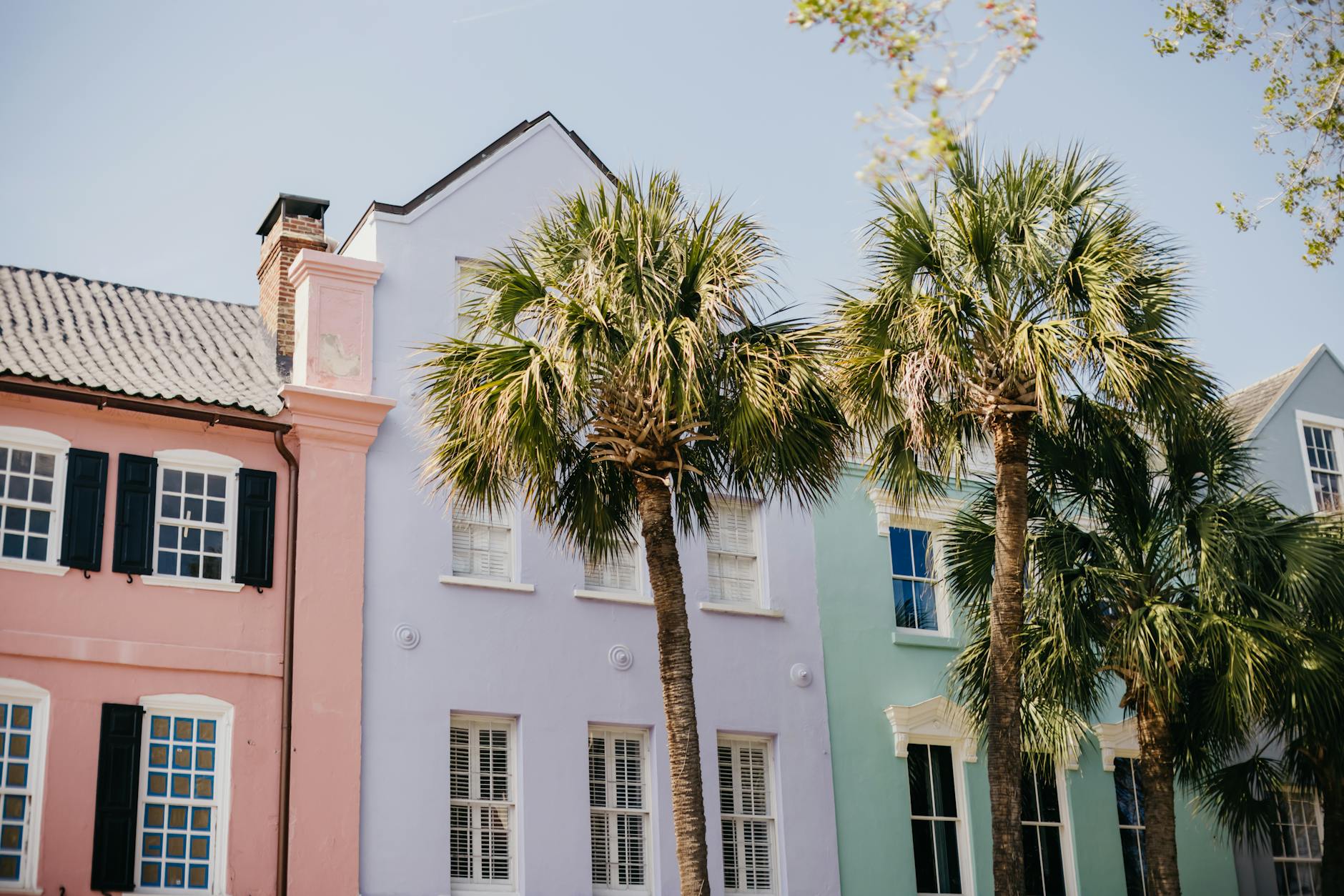 Charleston Rainbow Row pastel Georgian houses palm trees South Carolina