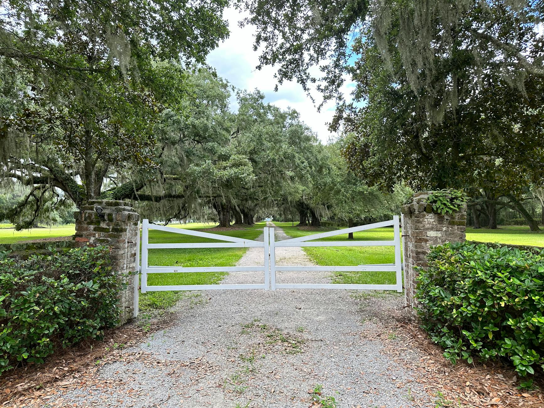 Charleston South Carolina plantation gate live oak alley Spanish moss