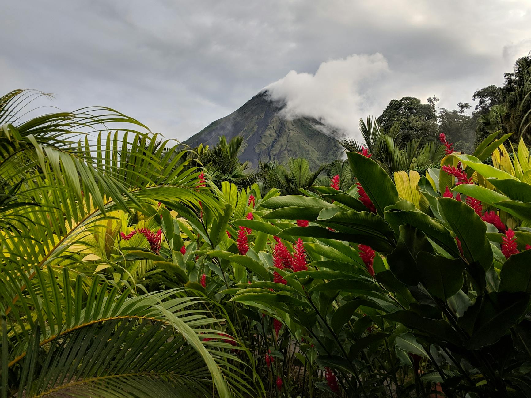 Arenal Volcano Costa Rica tropical rainforest red ginger flowers