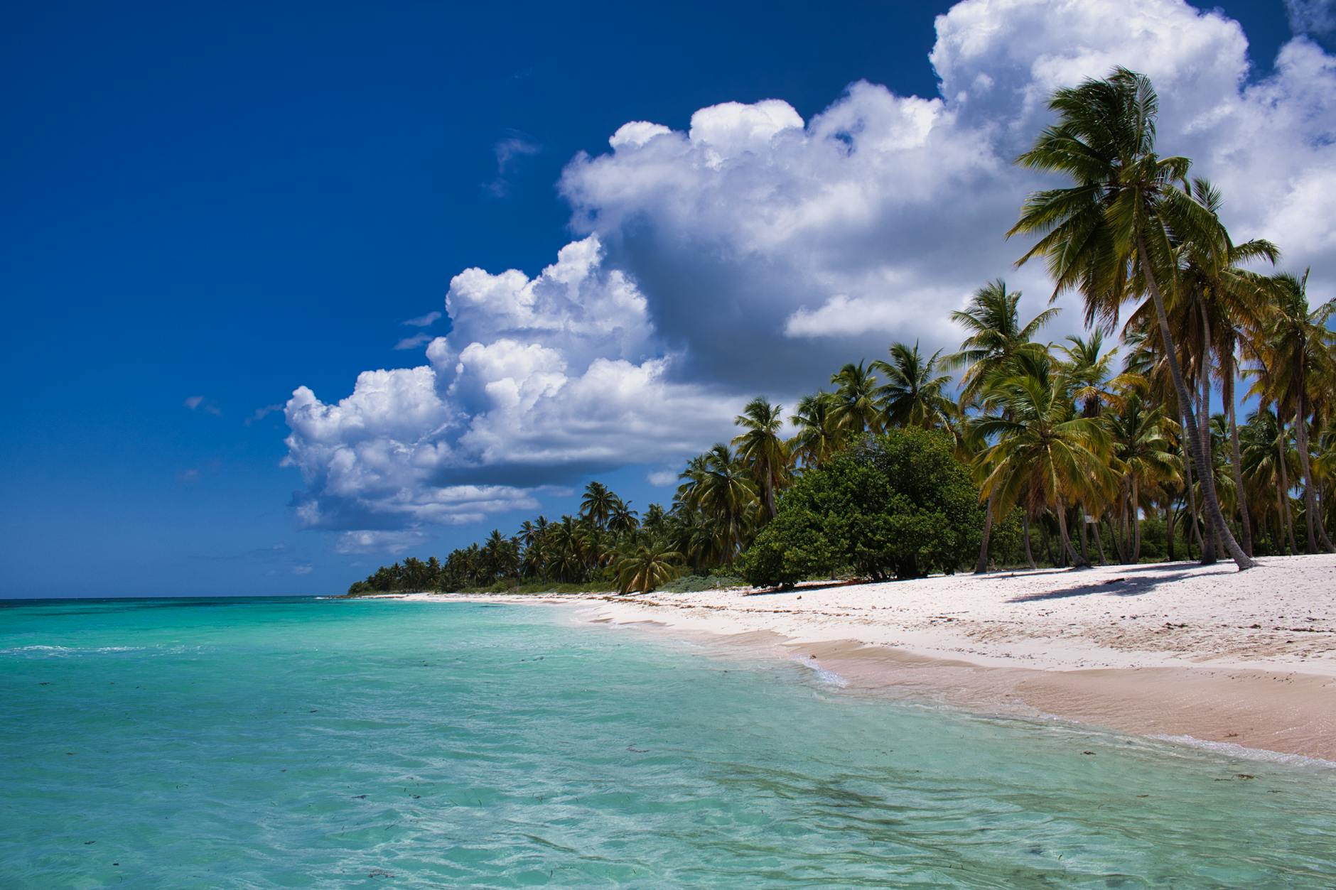Dominican Republic, Dominican Republic — TravelWhiz