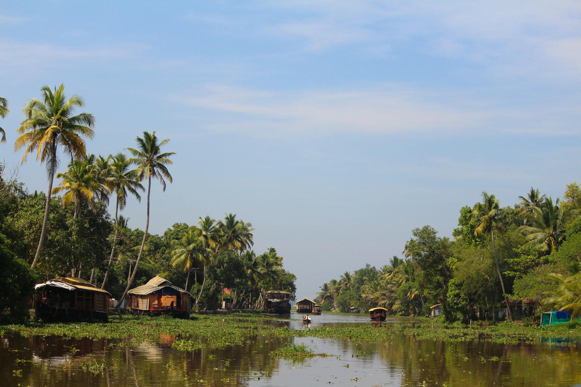 Kerala backwaters India houseboat palm trees tranquil waterway