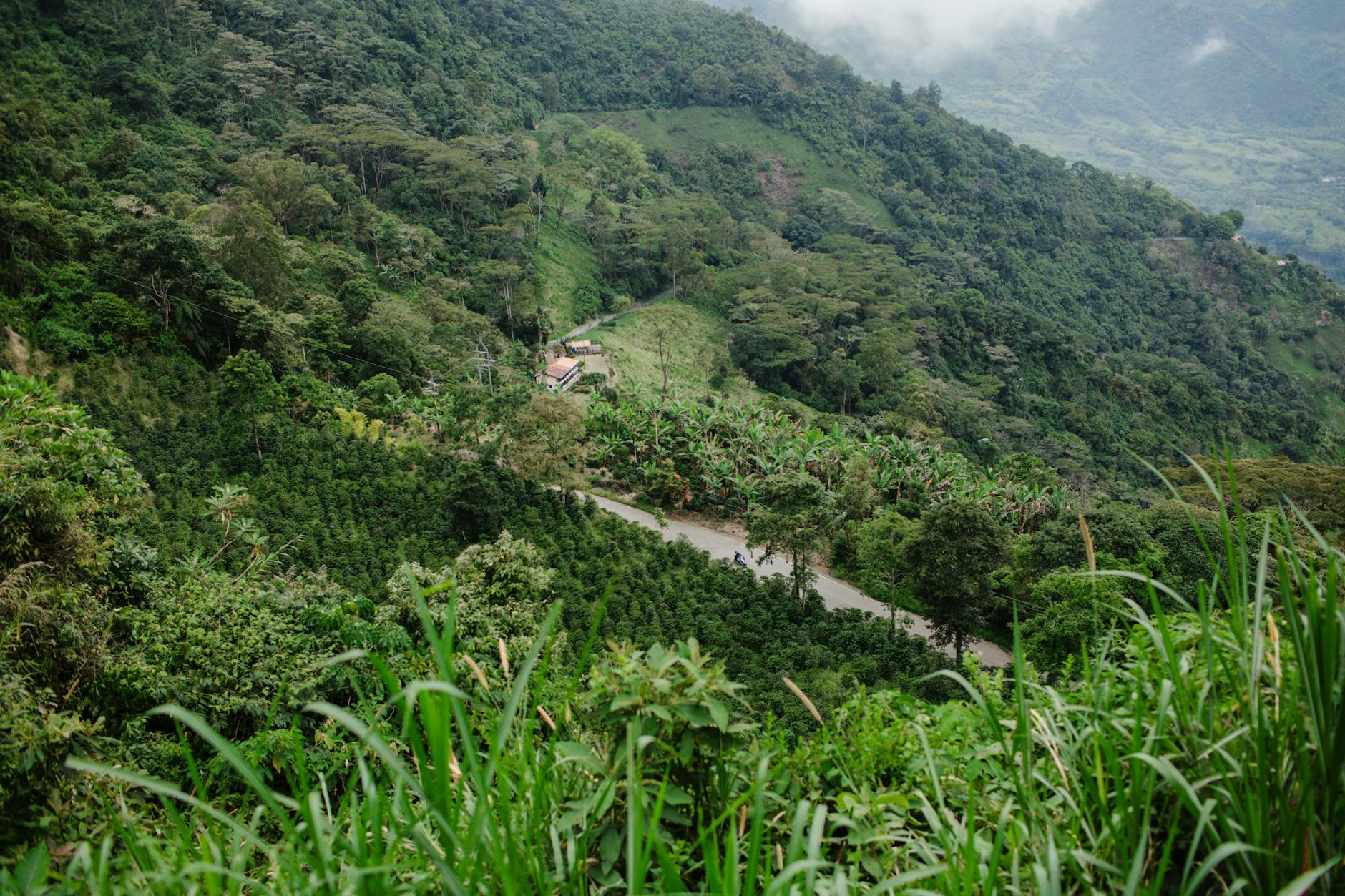Dunn's River Falls Jamaica lush jungle waterfall Caribbean