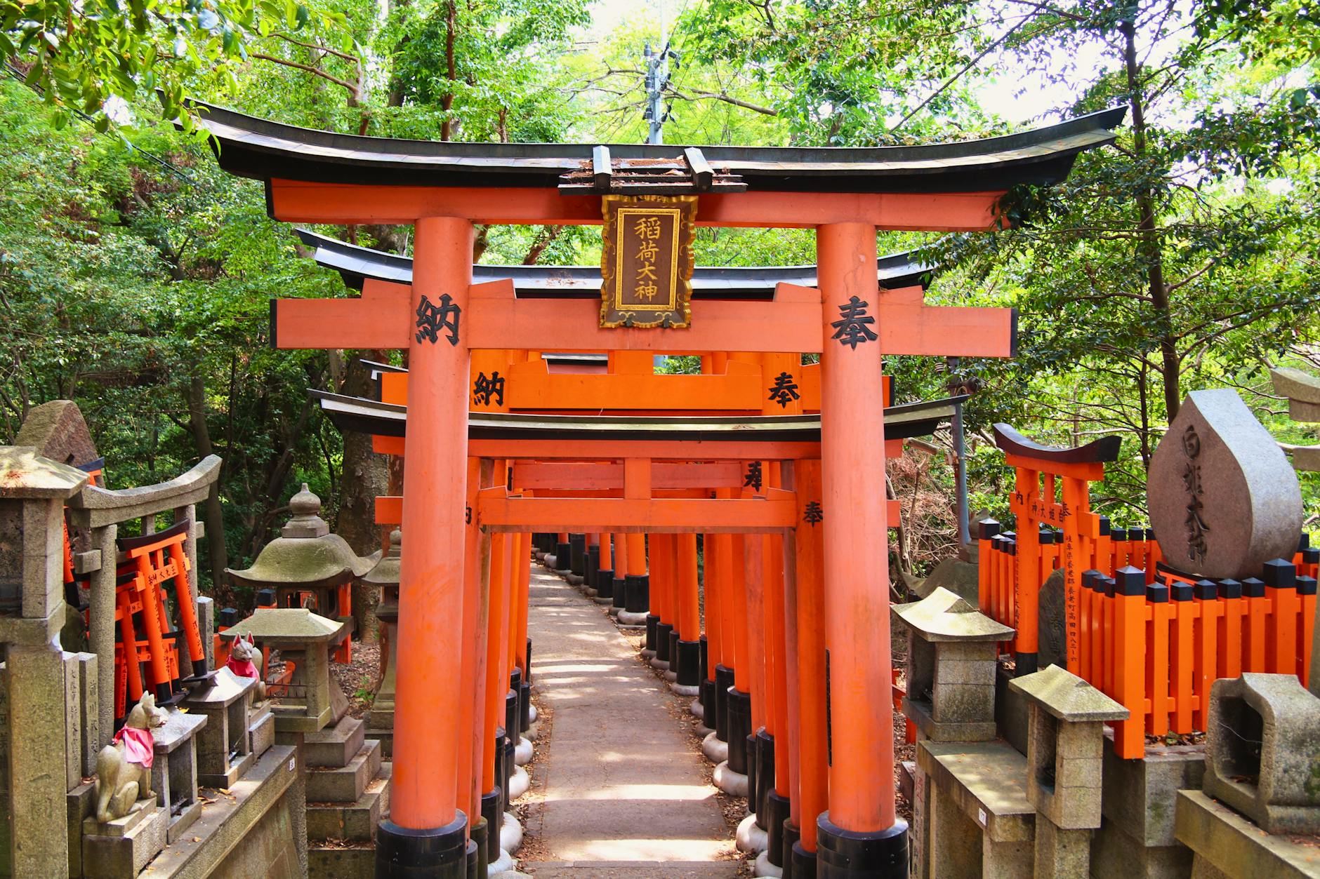 Kyoto Japan Fushimi Inari shrine tunnel orange torii gates stone fox statues