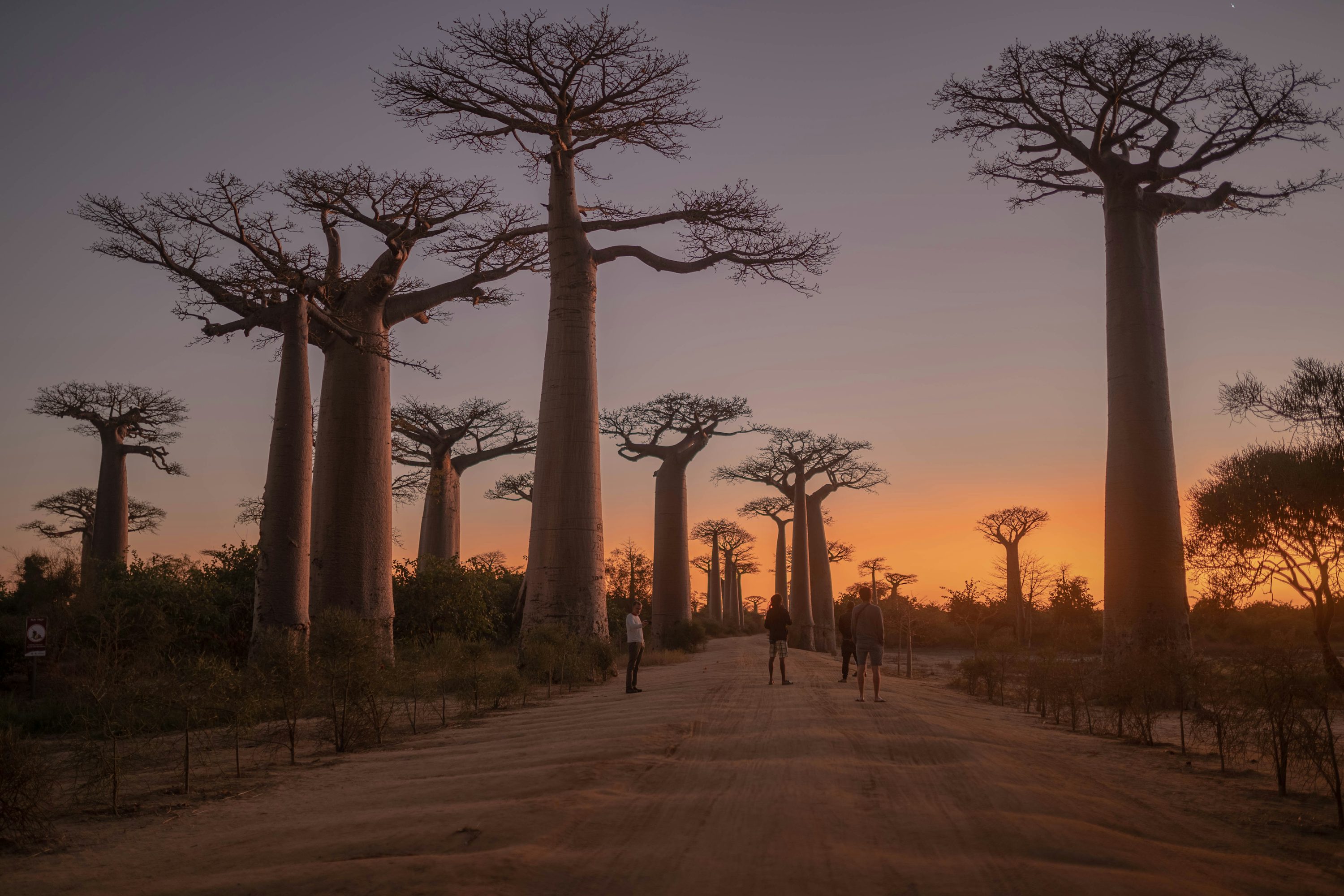 Madagascar, Madagascar — TravelWhiz