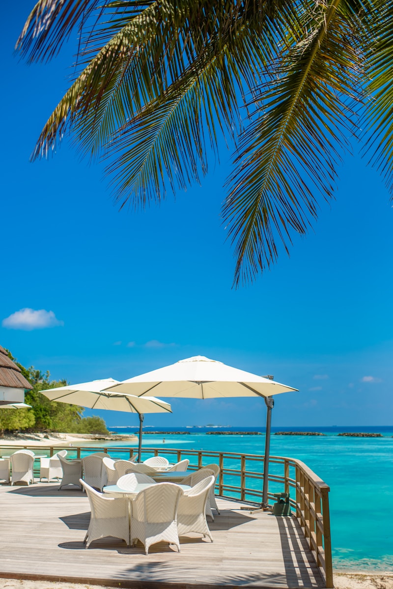 Mauritius Chamarel coloured earth and rum distillery