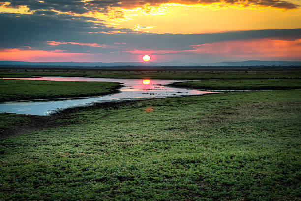 Gorongosa National Park Mozambique African wildlife savanna sunset