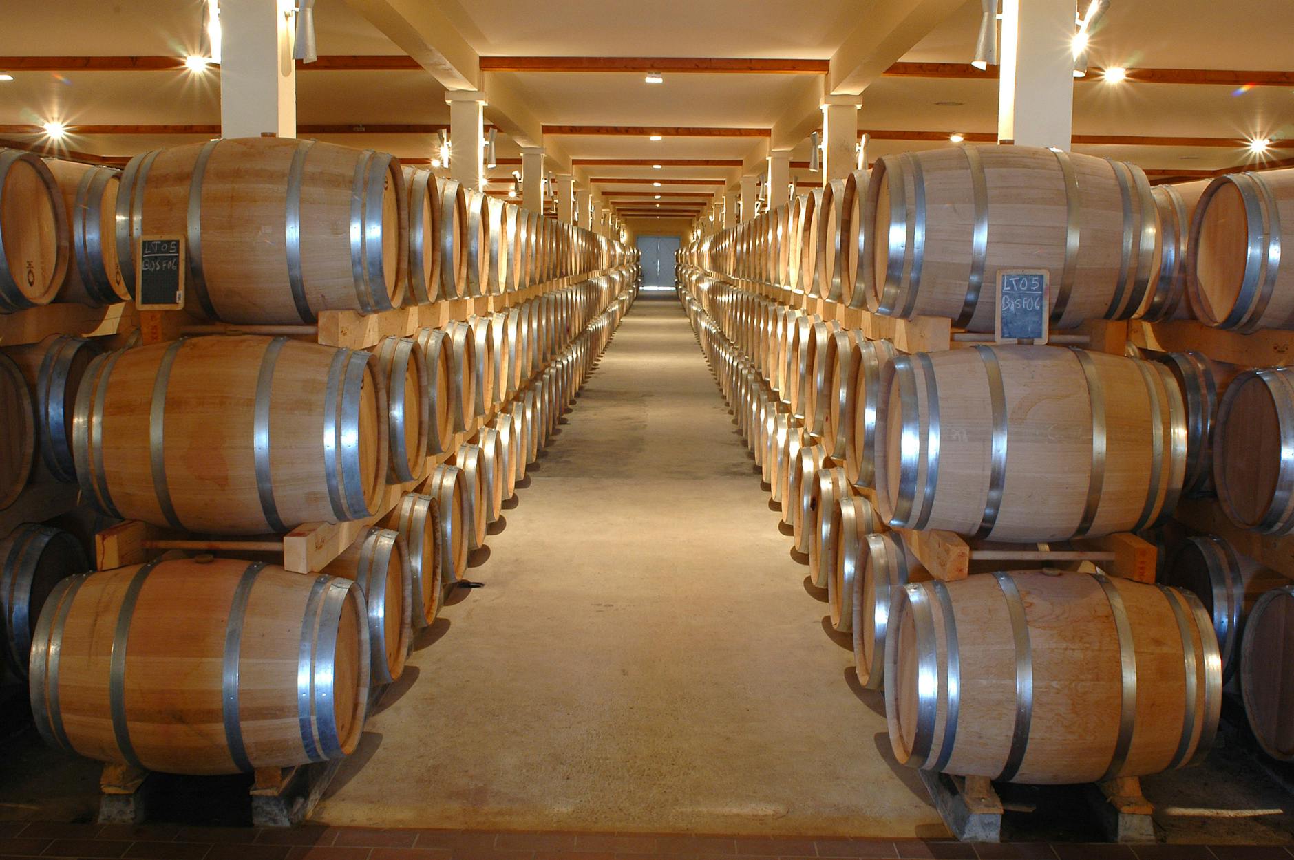 Napa Valley winery barrel room oak barrels aging cellar California