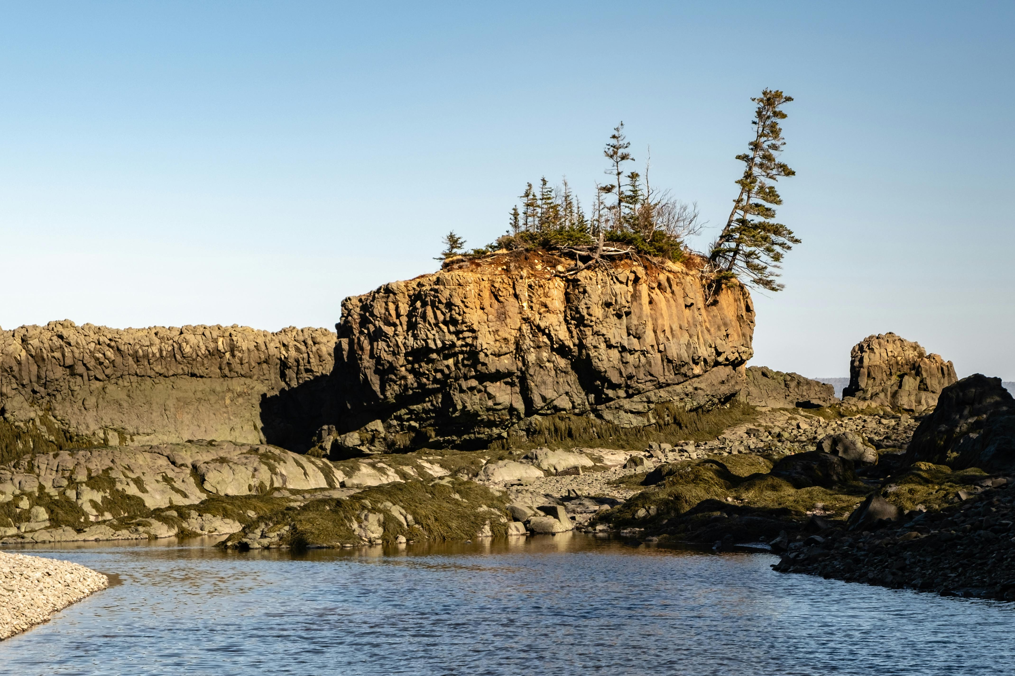 Bay of Fundy New Brunswick coastal sea stack basalt column spruce trees low tide