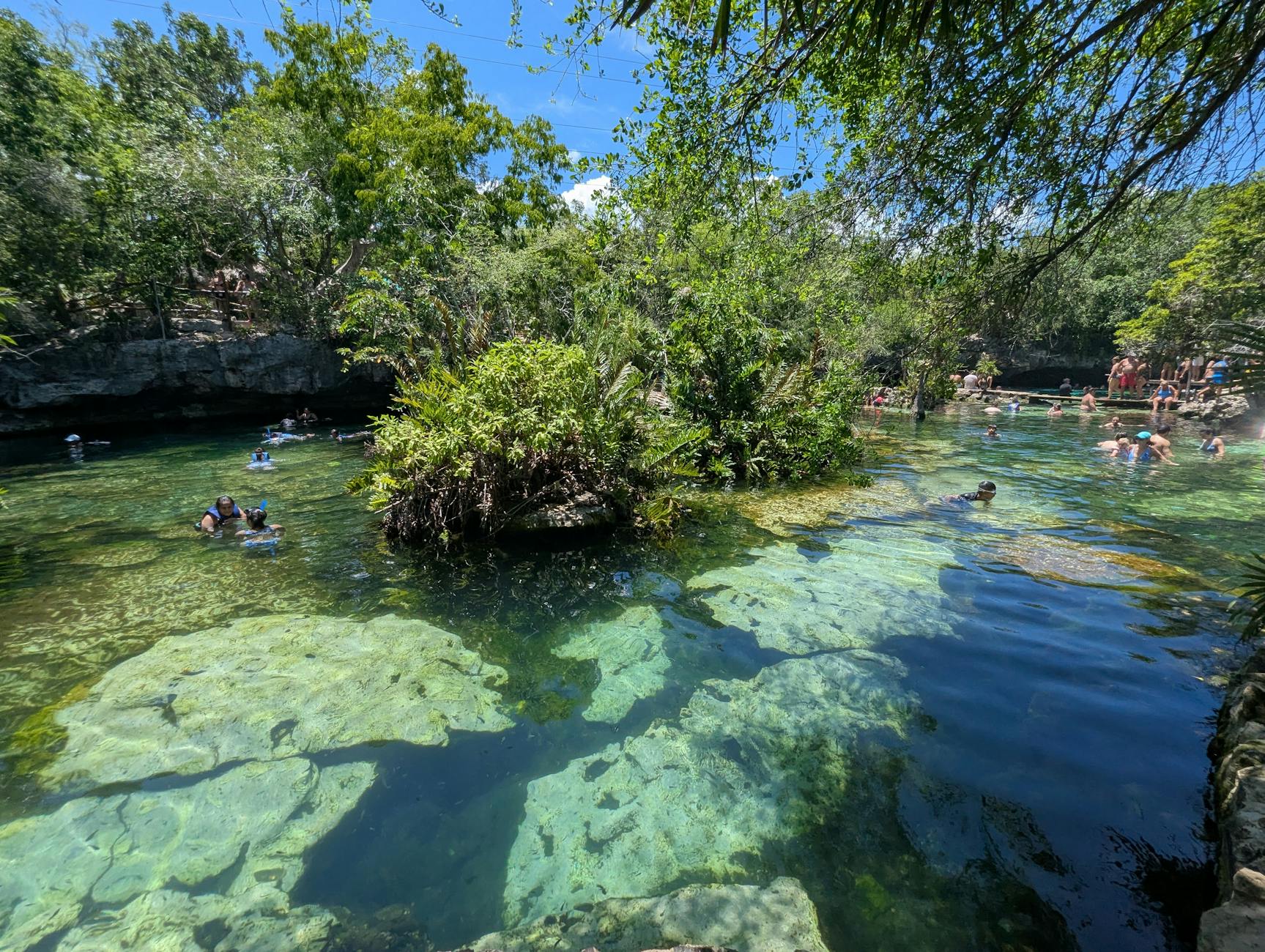 Open cenote swimming near Playa del Carmen Mexico crystal clear water jungle
