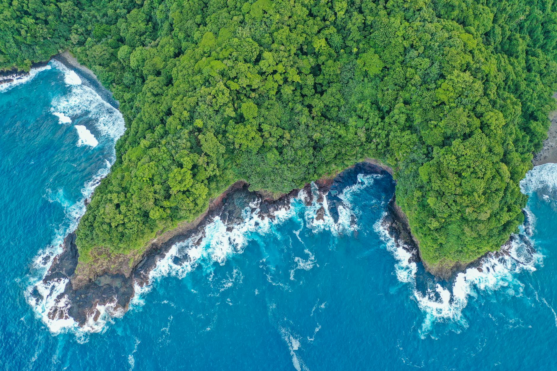 Samoa Upolu island aerial lush jungle headland rocky coastline blue ocean