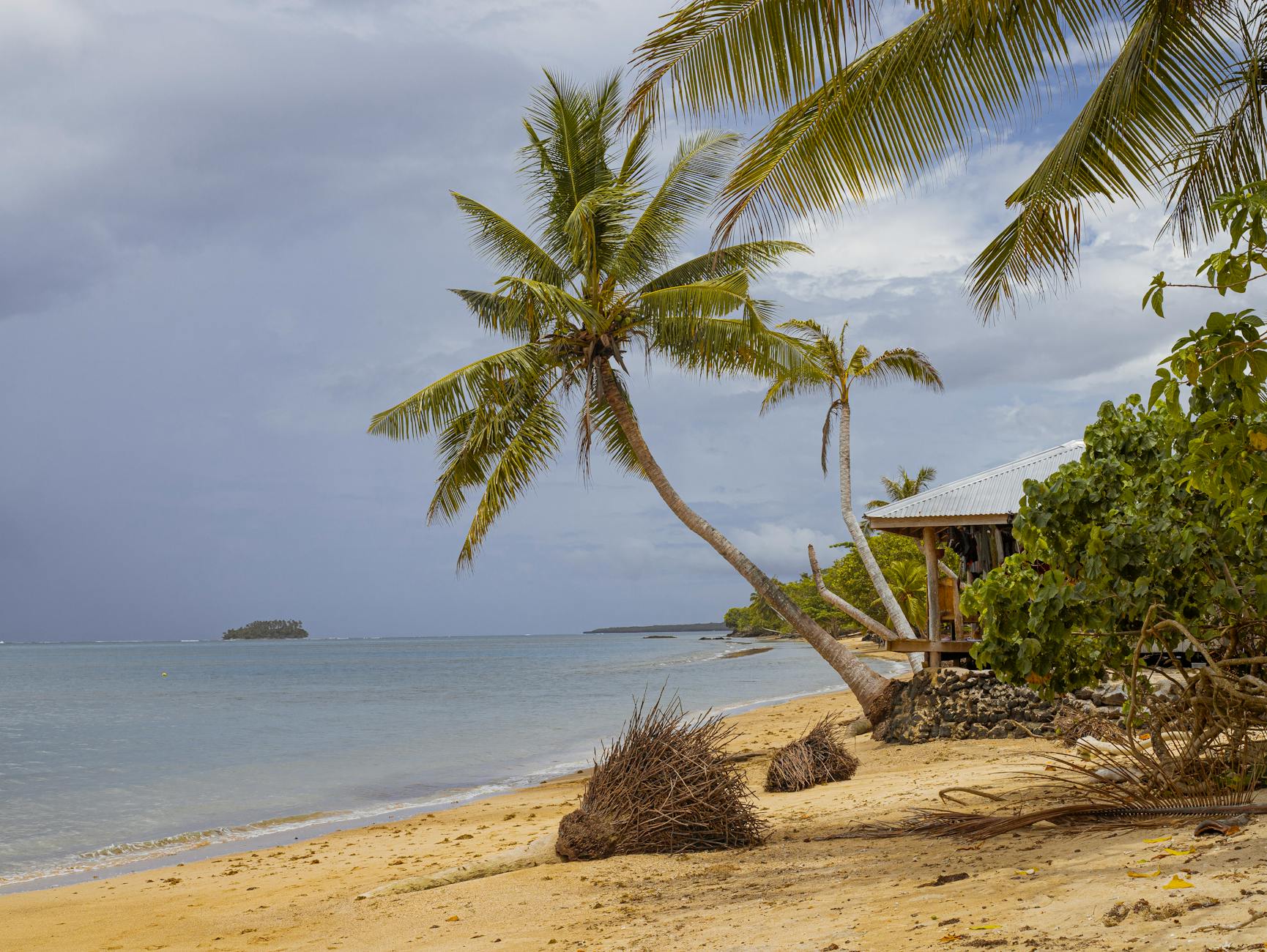 Samoa South Pacific beach leaning palm trees fale hut overcast sky island