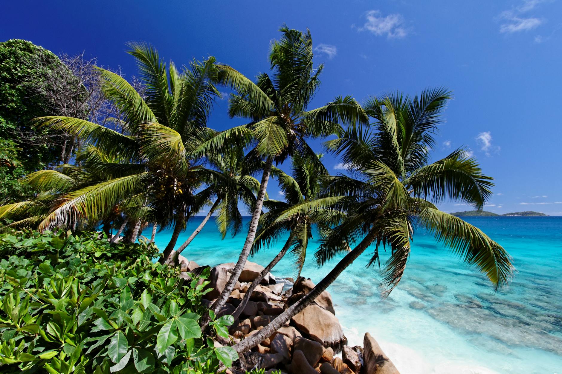 Seychelles Mahe island tropical beach and coral reef