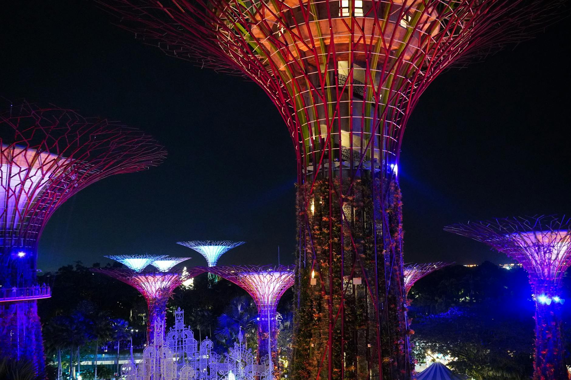 Gardens by the Bay Singapore Supertree Grove illuminated night lights