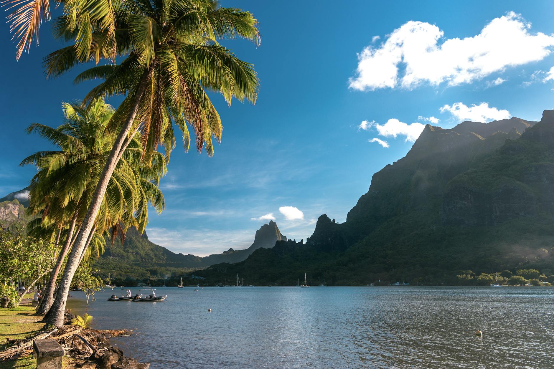 Moorea French Polynesia Cooks Bay dramatic volcanic peaks palm trees sailboats