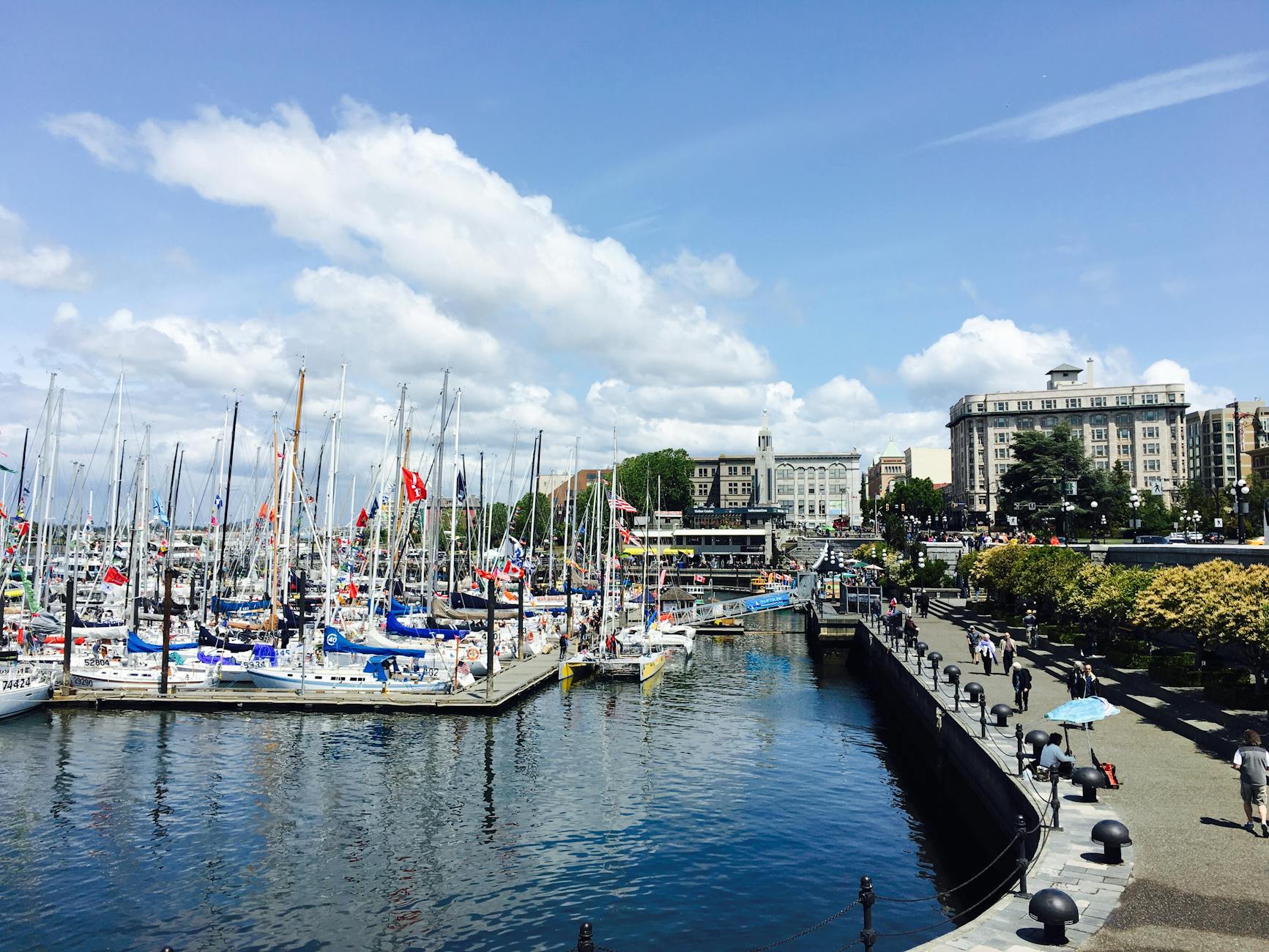 Scenic view of a bustling harbor in Victoria, BC with sailboats and waterfront buildings under a clear blue sky.