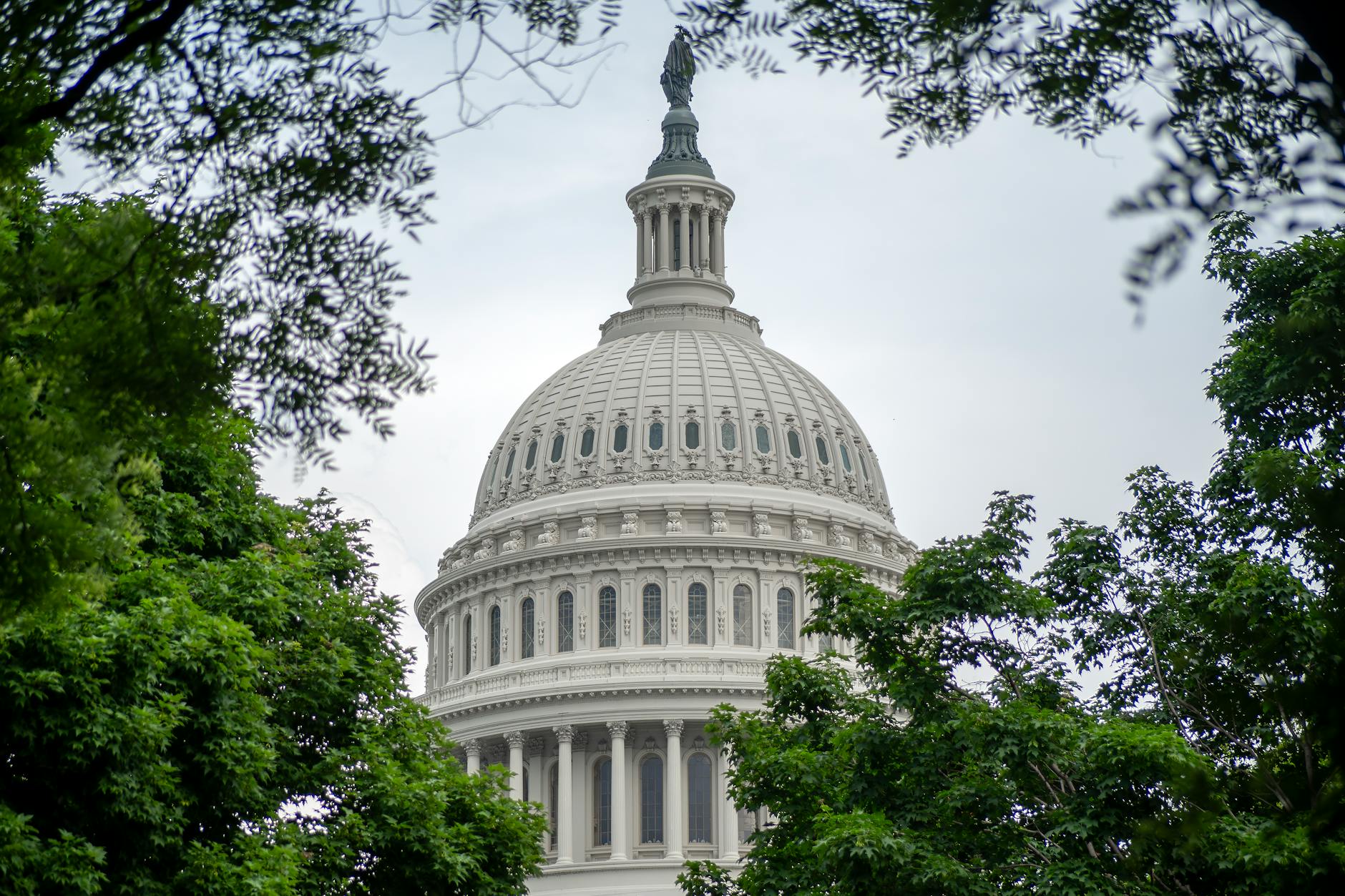 US Capitol Building Washington DC dome summer trees