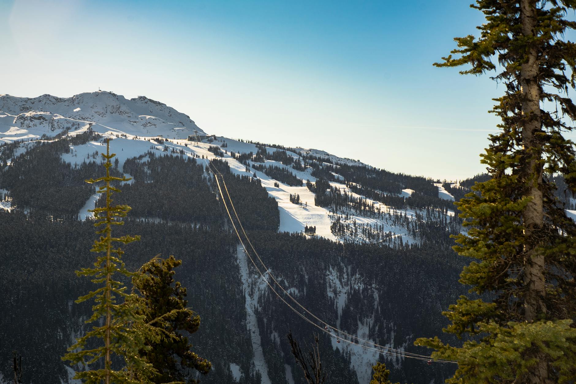 Stunning view of Whistler mountain with snowcapped peaks and cable cars traversing the forest.