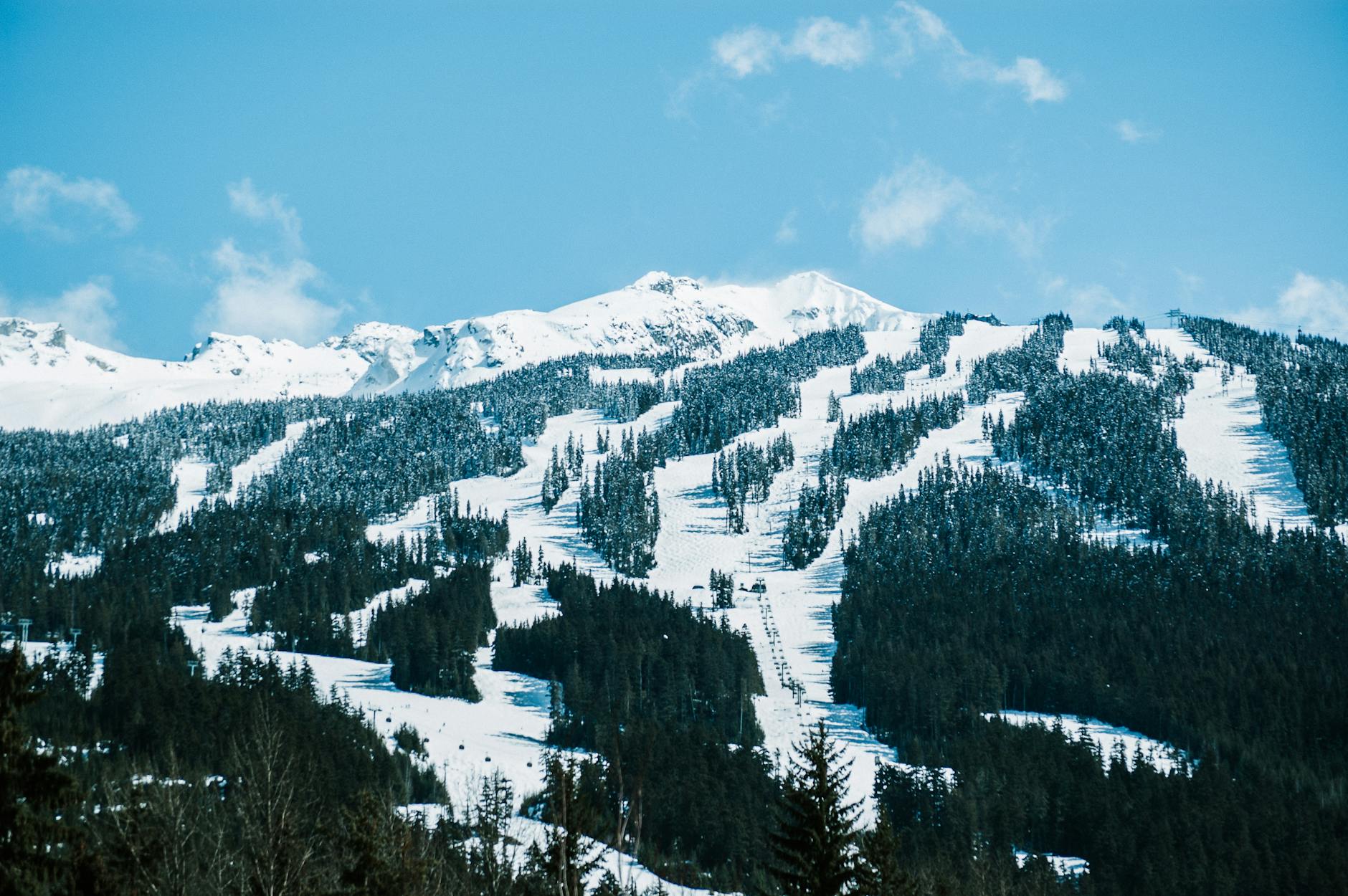 Scenic view of snowcapped mountains and forested slopes under blue skies, perfect winter getaway.